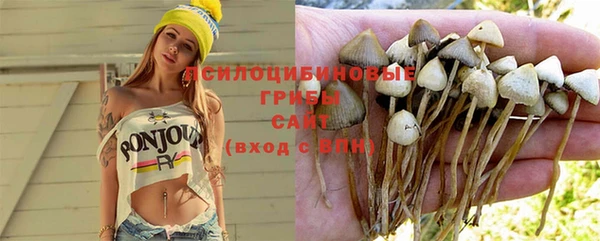 дмт Володарск
